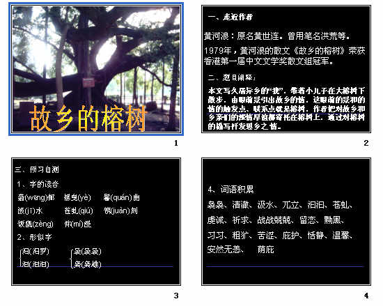鿴Ԥͼ
