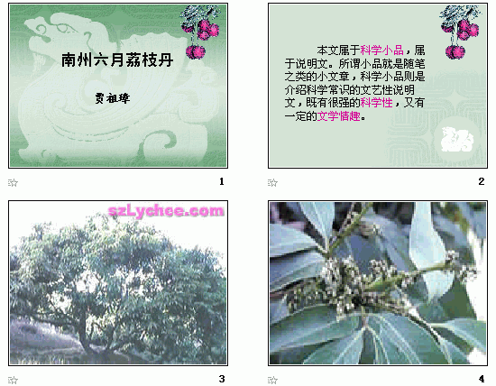 查看预览图