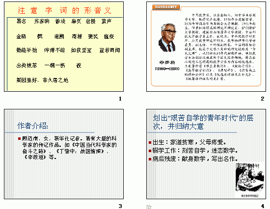 查看预览图