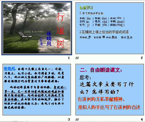 鿴Ԥͼ