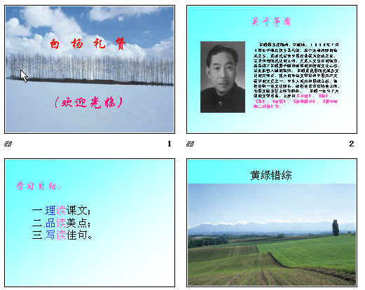 查看预览图