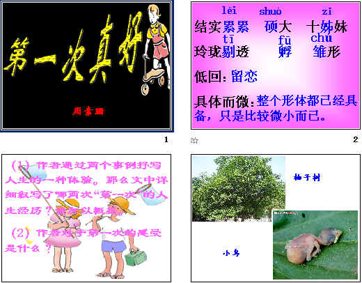查看预览图