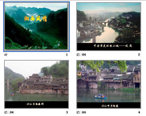 查看预览图