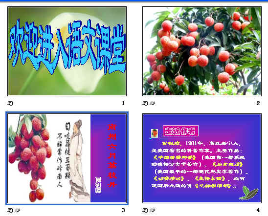 查看预览图