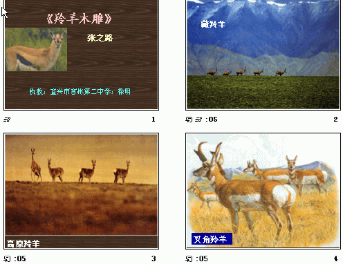 查看预览图