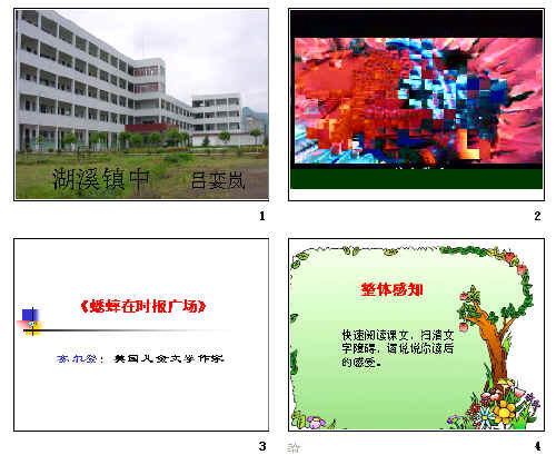 查看预览图