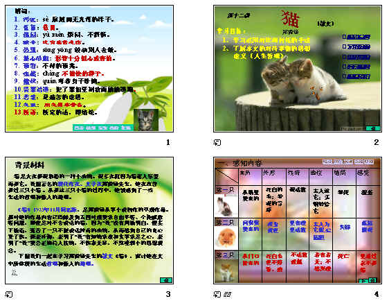 鿴Ԥͼ