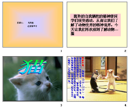 鿴Ԥͼ
