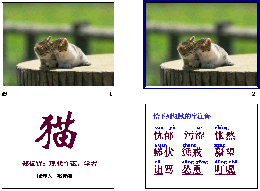 鿴Ԥͼ