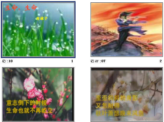 鿴Ԥͼ
