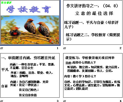 鿴Ԥͼ