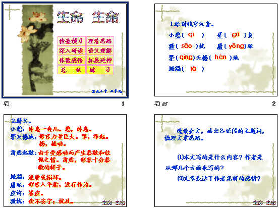 鿴Ԥͼ