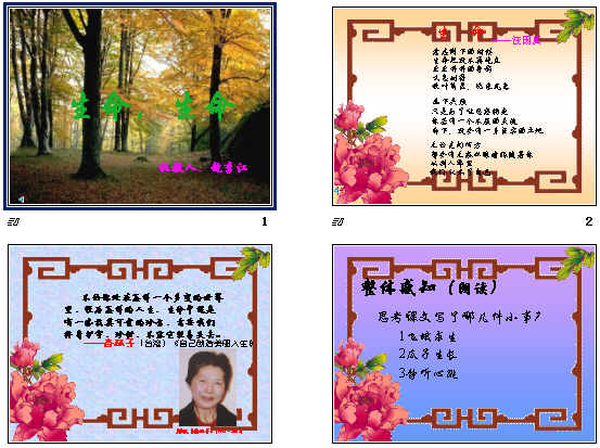 鿴Ԥͼ