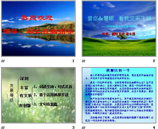 查看预览图