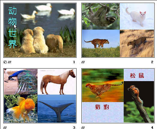 查看预览图