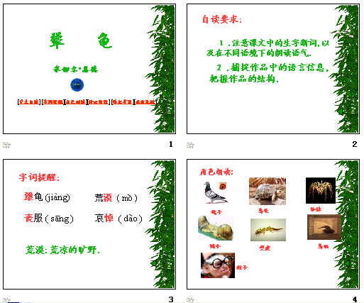 查看预览图