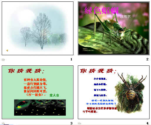 查看预览图