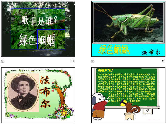 查看预览图