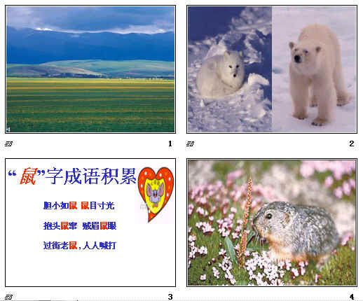查看预览图
