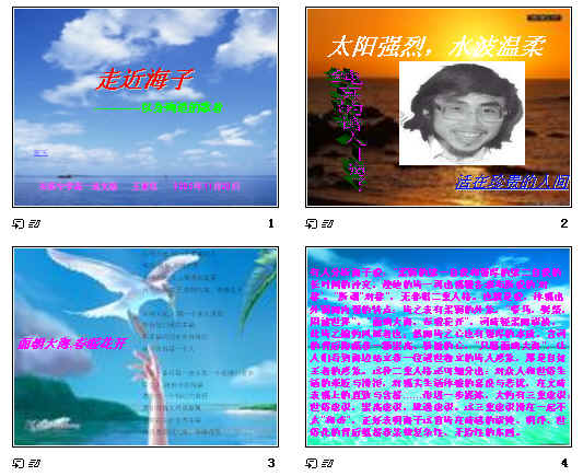 鿴Ԥͼ