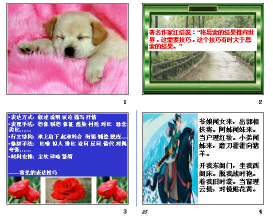 查看预览图