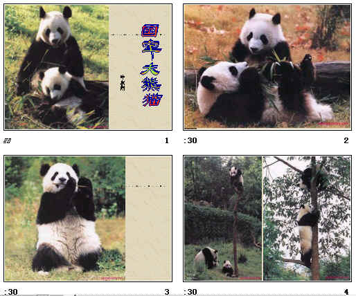 鿴Ԥͼ