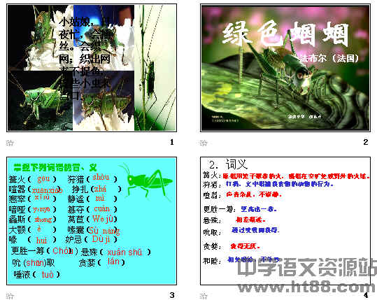 查看预览图