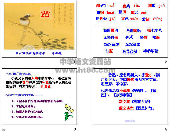 鿴Ԥͼ