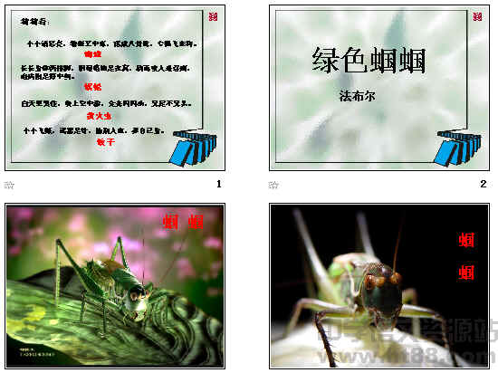 查看预览图