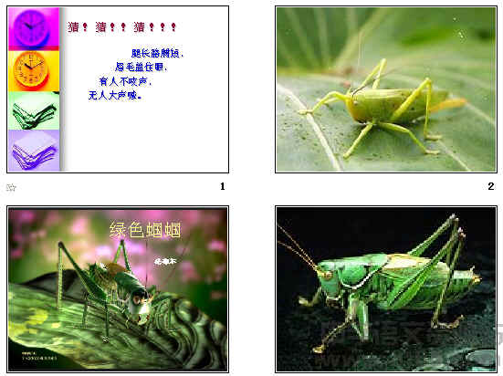 鿴Ԥͼ