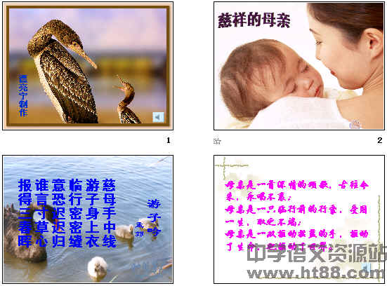 鿴Ԥͼ
