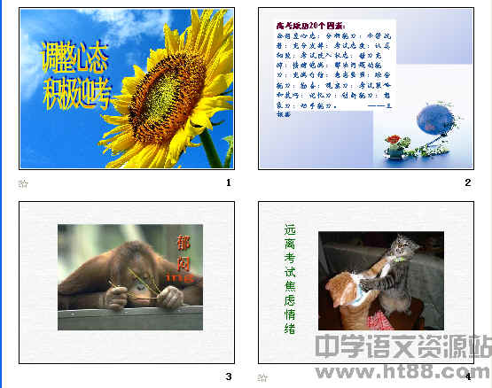 鿴Ԥͼ
