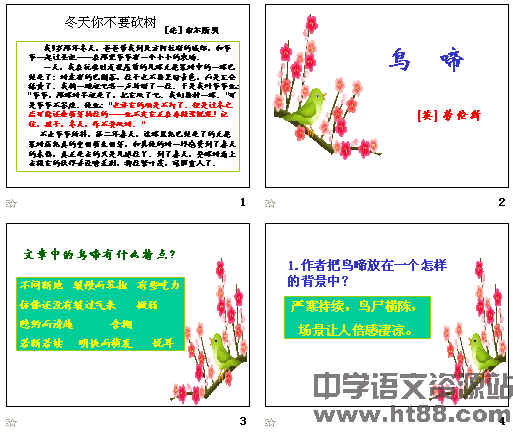 鿴Ԥͼ
