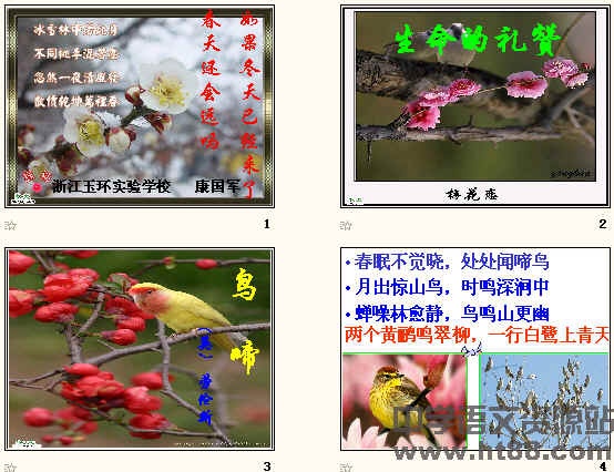 鿴Ԥͼ