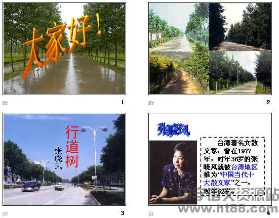 查看预览图