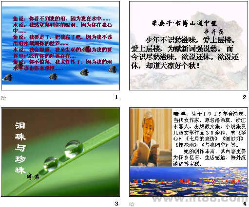 查看预览图