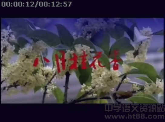 鿴Ԥͼ