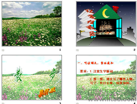 查看预览图