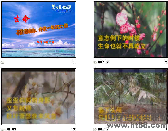 查看预览图