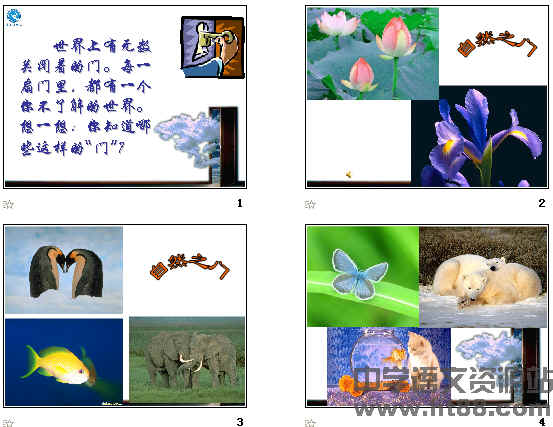 鿴Ԥͼ