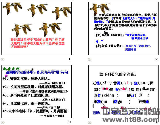 �鿴Ԥ��ͼ