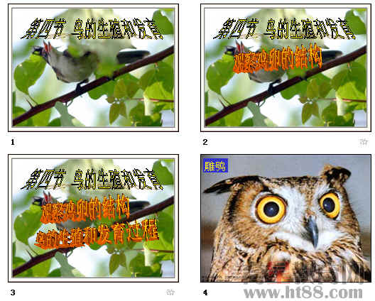 鿴Ԥͼ