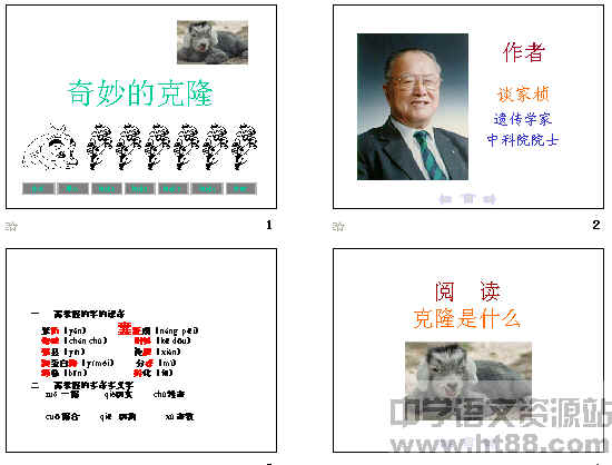 查看预览图
