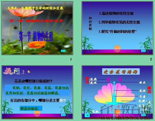 鿴Ԥͼ