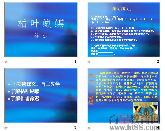 查看预览图