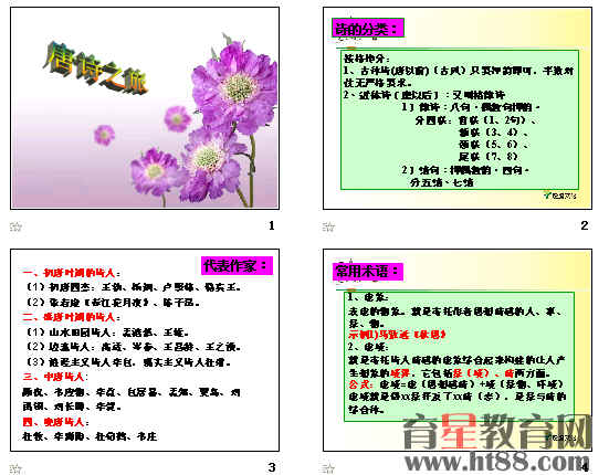 �鿴Ԥ��ͼ