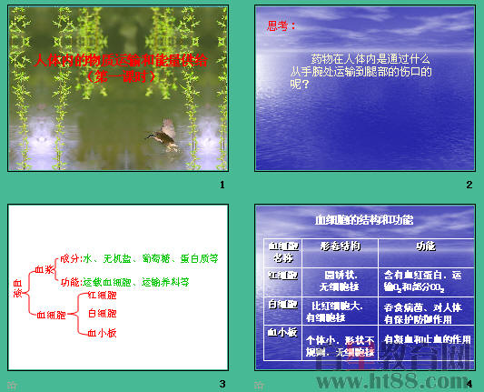 鿴Ԥͼ