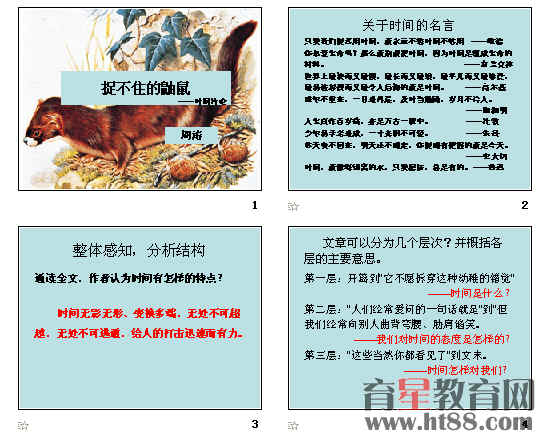 �鿴Ԥ��ͼ