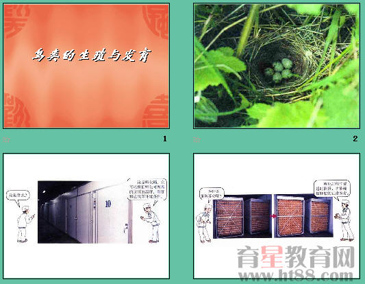 鿴Ԥͼ