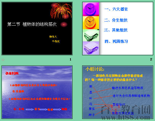 鿴Ԥͼ